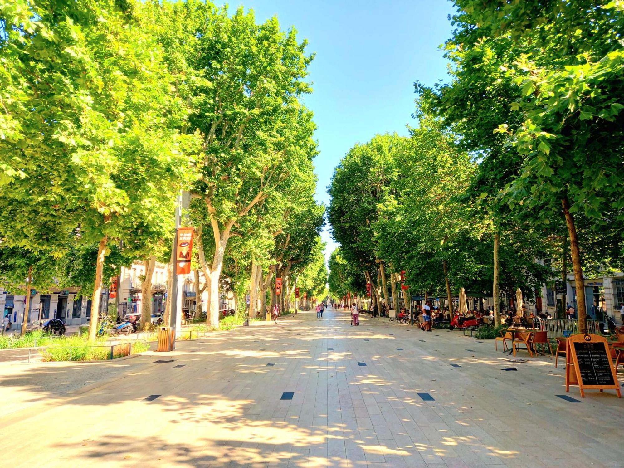 Apartment T2 Cathedrale & Torre Ventosa - - Clim - Wifi - Balcon - Free Parking Sur Demande Beziers